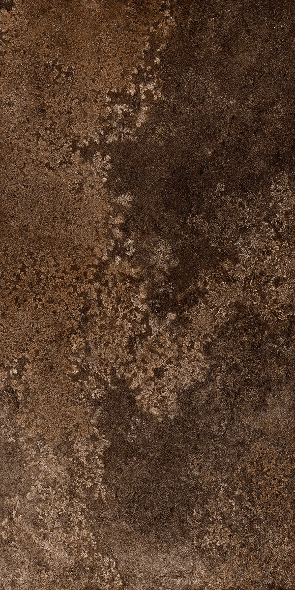 face 31